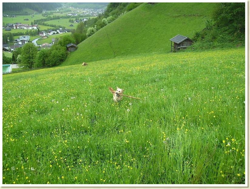 Stubaital 2008 Mai (3)